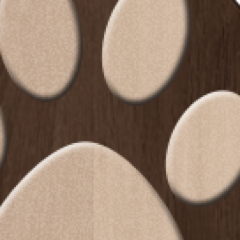 cl_yaho's profile picture. 連絡用