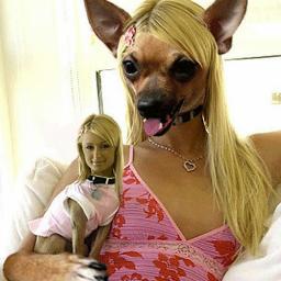 ririabzboo's profile picture. ♥️