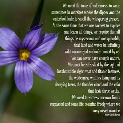 julianna0415's profile picture. 