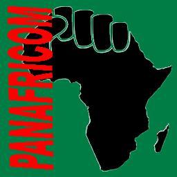 PANAFRIcan action and suport COMmittees