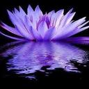 . (@0009865) Twitter