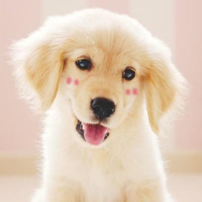 starbuck_bae's profile picture. Forget the haters.............