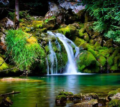 0e9cc492fded477's profile picture. 