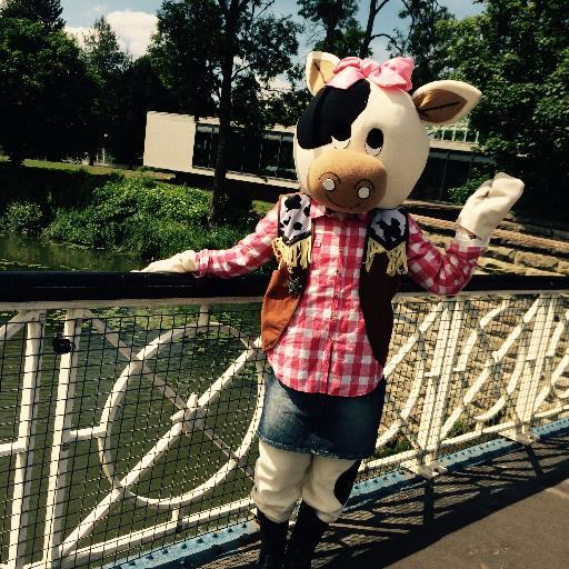 Patsymoo6's profile picture. I am the official Myton Hospices Moonlight Walk (very glamorous) mascot! Follow me and find out about all the latest news and updates about this years event!