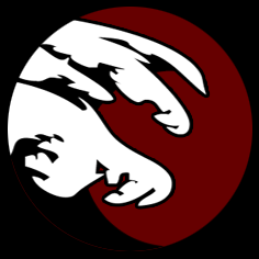 akaimedia's profile picture. Producción de contenidos digitales para marketing de eventos