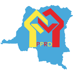 Le #PPRD fut créé par plus de 200 membres fondateurs réunis au centre catholique  Nganda de Kinshasa, le 31 mars 2002.