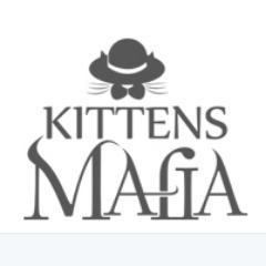 Strategic card game for playing with friends & family. Support us on @Kickstarter #KittensMafia