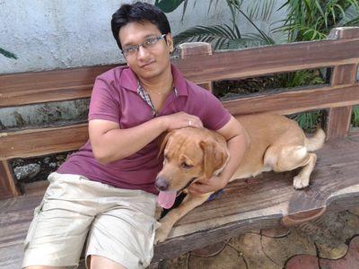 solankivaibhav6's profile picture. 