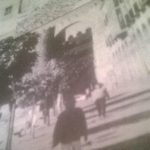 joselulolo1963's profile picture. 