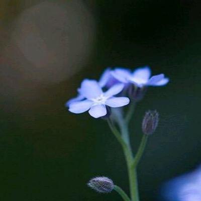 werasdzxc1's profile picture. 