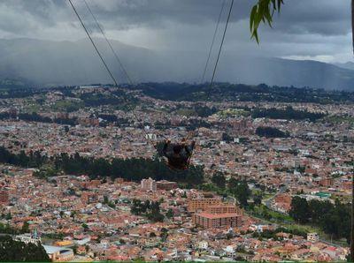 pato17011's profile picture. 