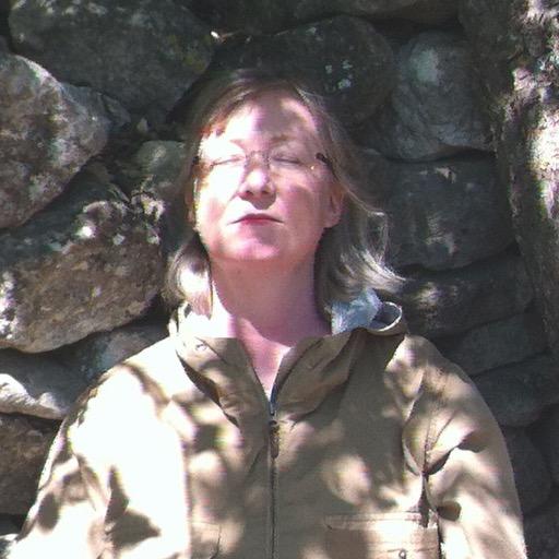 cornbunting's profile picture. Bad birdwatcher; content designer, wildlife lover, hotel hack, abstract painter, opportunistic cook, history writer. Rhodesia postal interests.