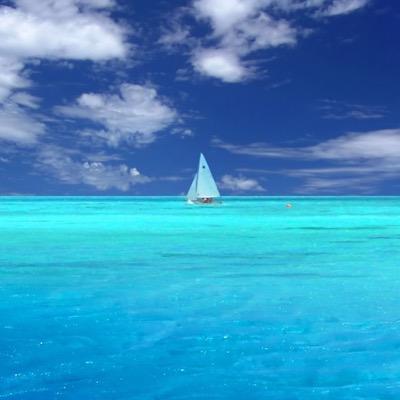 castle1007's profile picture. Sax/ Guitar/Jazz&Fusion/ Musical/勝田一樹/土岐英史/Li-sa-X/春畑道哉 /KellySIMONZ/ ｱﾆﾒ/SAO/化物語/ ｳﾏ娘/ﾗﾌﾞﾗｲﾌﾞ!/このすば/早坂愛/赤ﾒｶﾞﾈ/JVA/ゆるｷｬﾝ△/ｿﾛｷｬﾝ△/Coffee/ｻｲｸﾘﾝｸﾞ/情報収集用