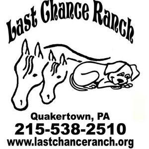 LCR is a non-profit 501(c)3 organization dedicated to the rescue and rehabilitation of equine, companion, farm, and small animals.