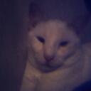 chris ritz - @ritzcrumb - Twitter