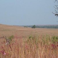 lulukc (@lulukc) 's Twitter Profile