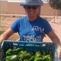 ✳️mfmedina (@mfmedinahome) 's Twitter Profile Photo ✳️mfmedina (@mfmedinahome) 's Twitter Profile Photo