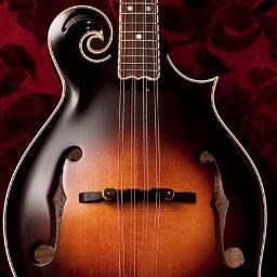 NYMandoEnsemble's profile picture. 