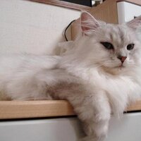 やまざきkei5 (@ymzkei5) 's Twitter Profile Photo