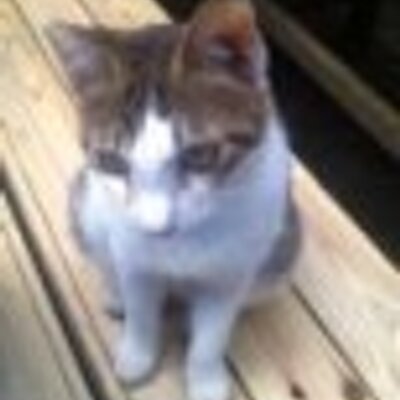 かおりんページ かおりん on X