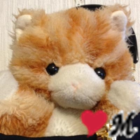 ねこゆう(@neco_u_) 's Twitter Profile Photo
