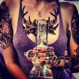 ganja_pills's profile picture. 