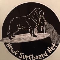Newf Surfboard Net(@NewfStan) 's Twitter Profile Photo