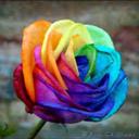 eva arellano - @EvaEvasegura - Twitter