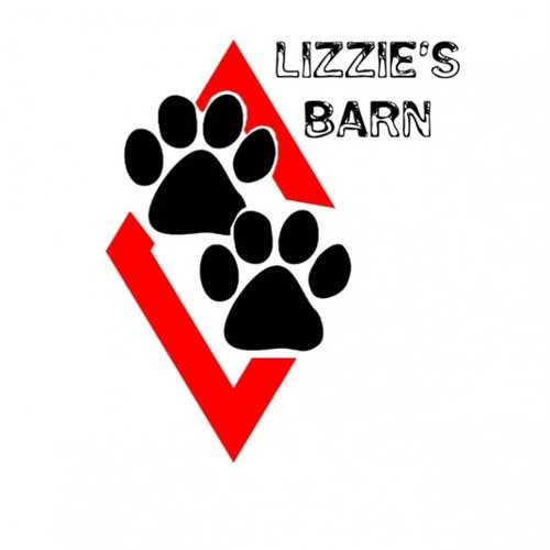 lizzies barn sanctuary