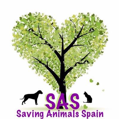 we are a group of Expats desperately trying to make a difference saving abandoned,tortured & starved animals from the streets of Spain. CAN YOU HELP US?