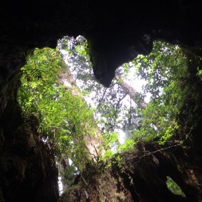 yukurikuma's profile picture. ⭐︎ホラー小説⭐︎読書感想文⭐︎映画観賞⭐︎お弁当⭐︎ランチ ⭐︎ハンドクラフト⭐︎レジン⭐︎羊毛フェルト⭐︎燻製⭐︎ガチキャン⭐︎日常⭐︎ＡＶＡ ⭐︎DeadbyDaylight⭐︎張國栄⭐︎及川光博