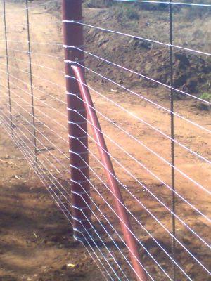 We specialising in Game fencing, security fencing,farm fencing, cow fencing and maintenance  


cotact:Given                        
 tel      :+27739218808