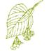 LindenHallHampton (@lindenhallhmptn) Twitter profile photo