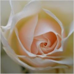 ceeceedee36's profile picture. Happily retired and enjoying life. 😊😊😊