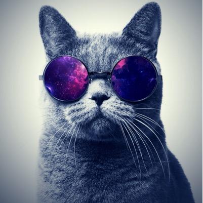 O gato da cantadas master, o gato que uniu muito casal, o gato que esta louco para beijar a sua boca!