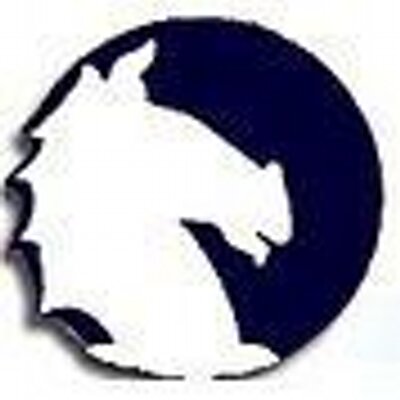 strategyworksin's profile image