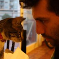 Nahuel Andrés (@nahuelgandalf) 's Twitter Profile