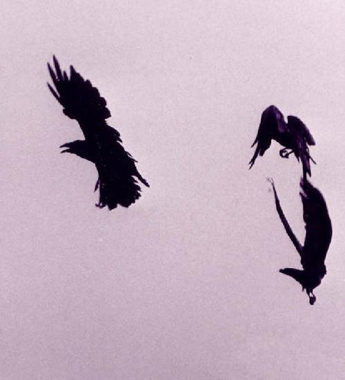 Andrew_McKim's profile picture. Not lost. Wandering aimlessly.