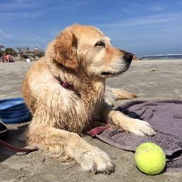 scienceedtech's profile picture. 