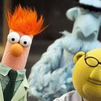 Tom Bramald (@tombramald) 's Twitter Profile