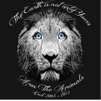 SteadyEddie (@steadyeddie13y) 's Twitter Profile