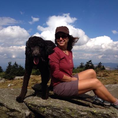 mzseaman's profile picture. 