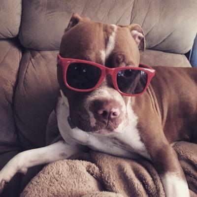 bossjaed's profile picture. work and play...