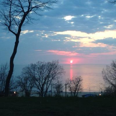 shin_professor's profile picture. 