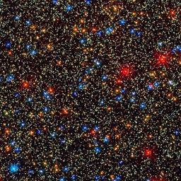 WasteofAstron's profile picture. EM, THIS.