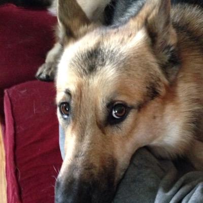 JediPanda82's profile picture. 