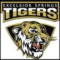 ESHS Softball (@estigersoftball) 's Twitter Profile Photo