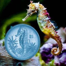 KarlaChapelet24's profile picture. Una buena chica conoce sus límites, una mujer inteligente sabe que no tiene ninguno...