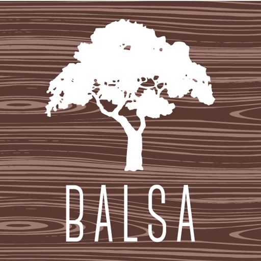 The BALSA Group is a non-profit consulting firm in the St. Louis region, led by graduate students and post docs.