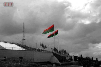 GadimaKosai's profile picture. 